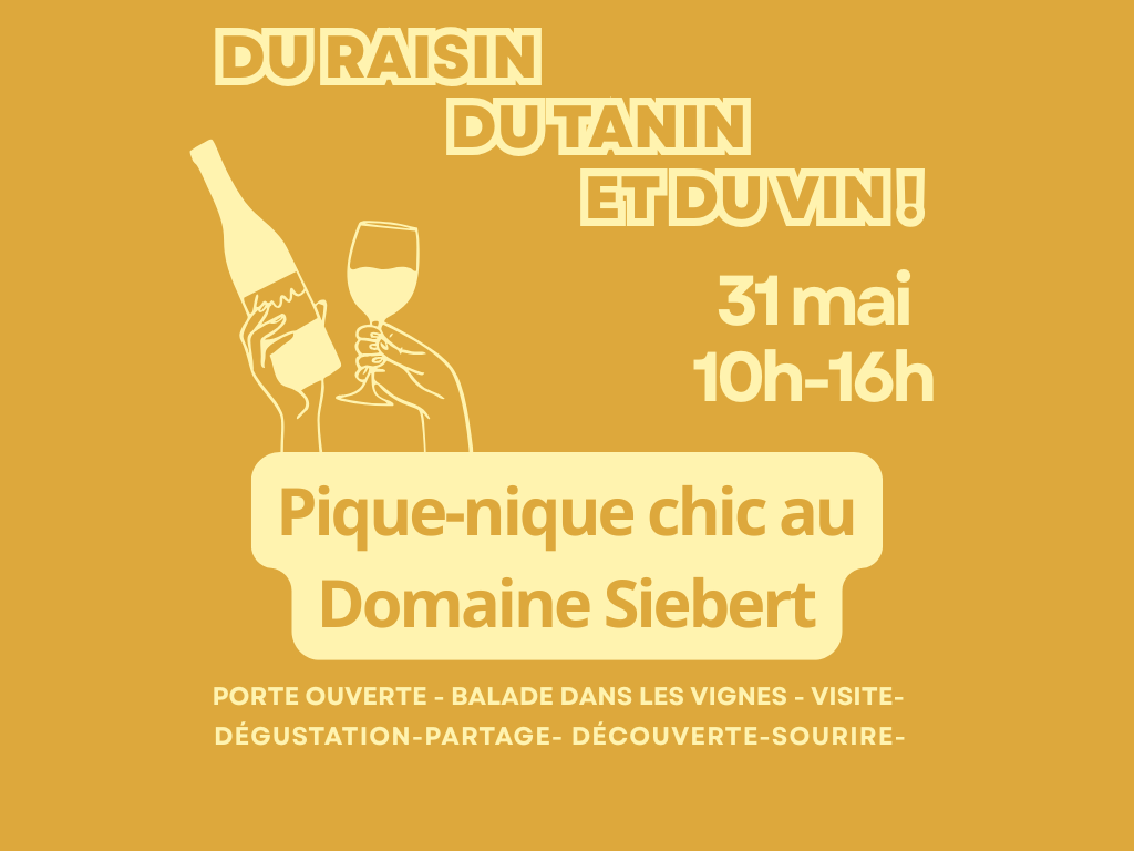 Pique-nique chic - Du raisin, du tanin et du vin ! (adulte)