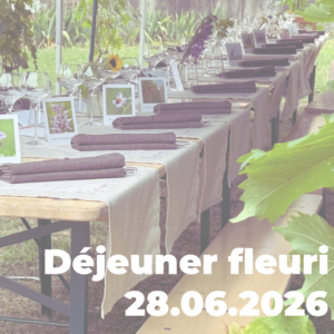 Déjeuner fleuri au Domaine Siebert (Wolxheim)
