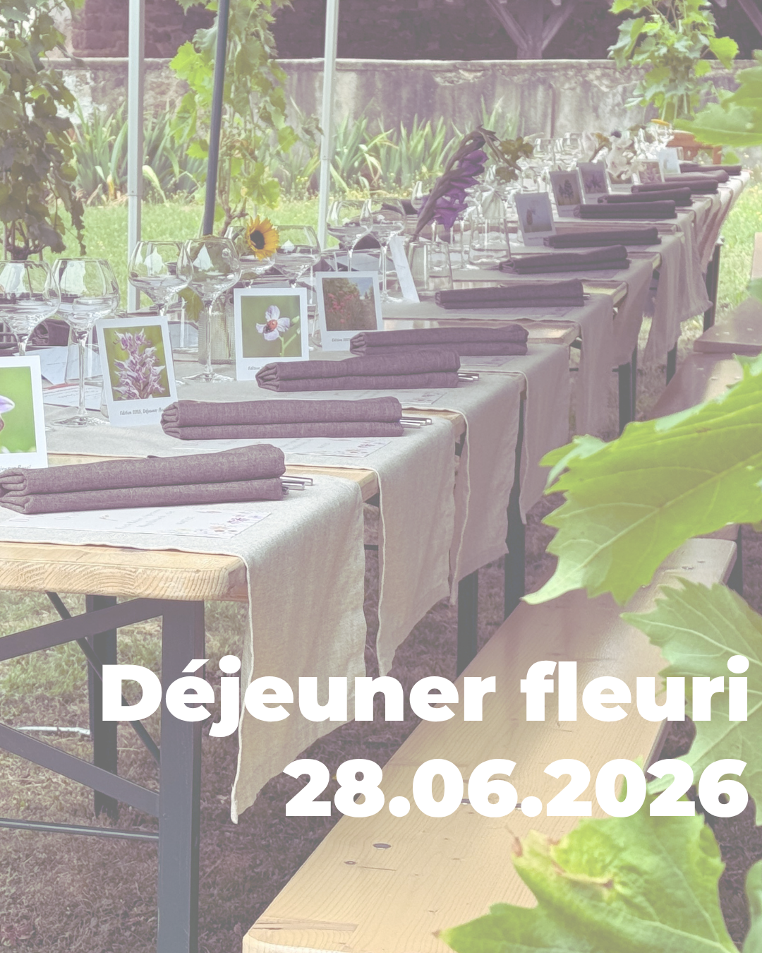 Déjeuner fleuri au Domaine Siebert (Wolxheim)